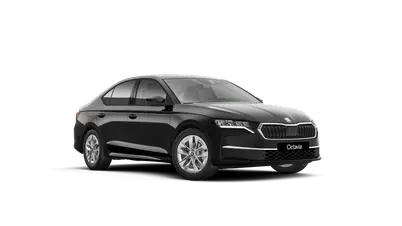 Octavia Classic