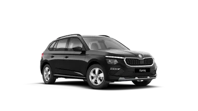 Kamiq 130 let