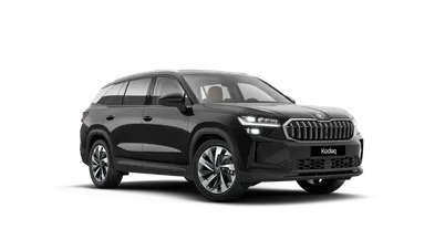 Kodiaq Exclusive Selection