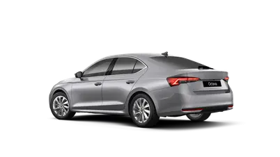 Octavia Top Selection