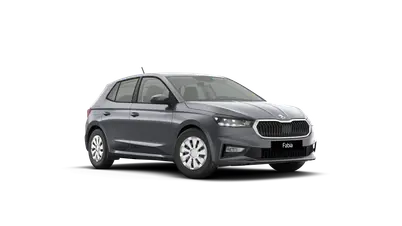 Fabia Selection