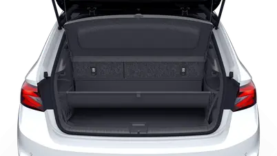 Fabia Monte Carlo