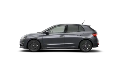 Fabia Dynamic