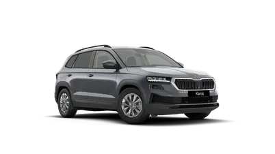 Karoq Classic