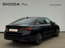 Octavia Top Selection